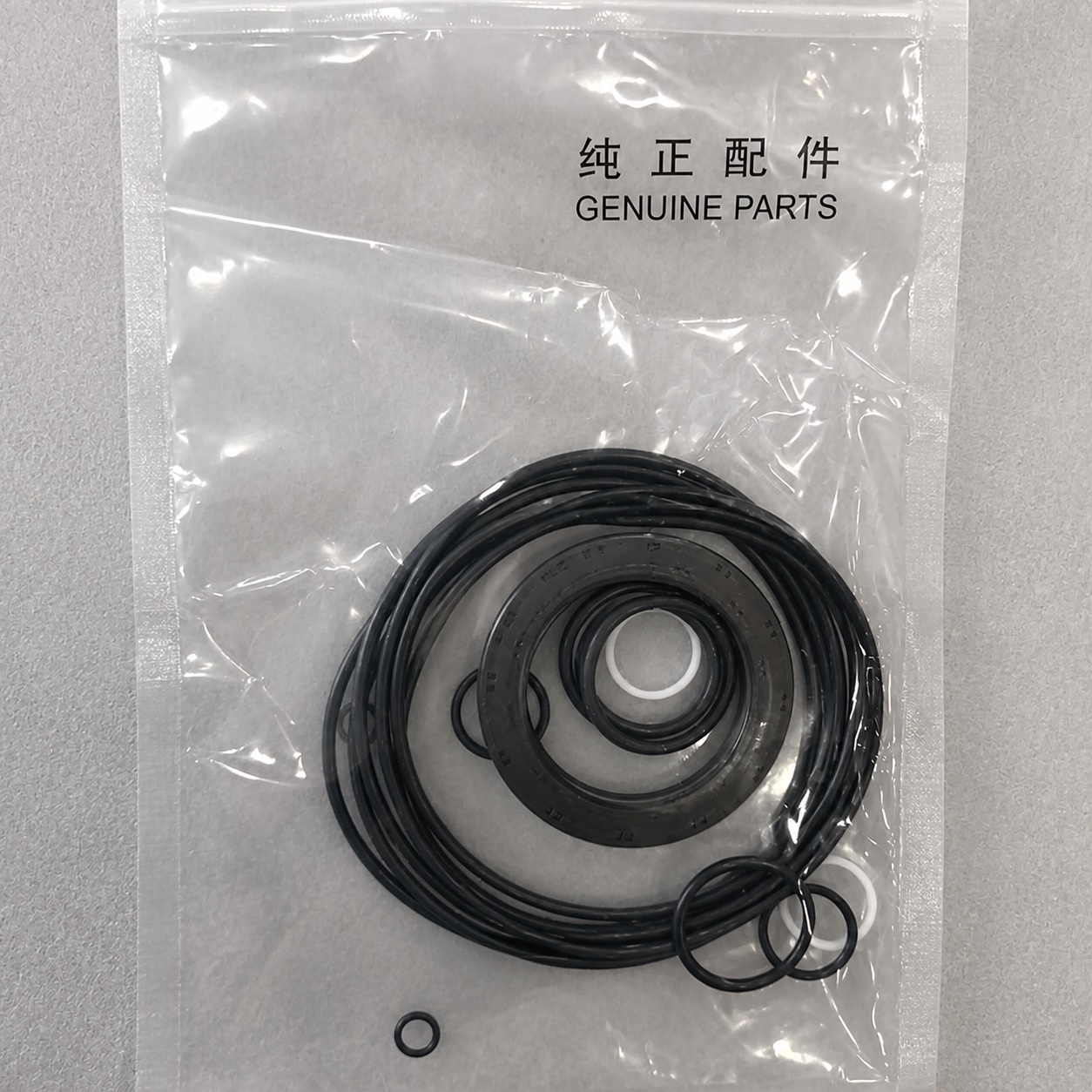 Motor Seal Kit 60210761